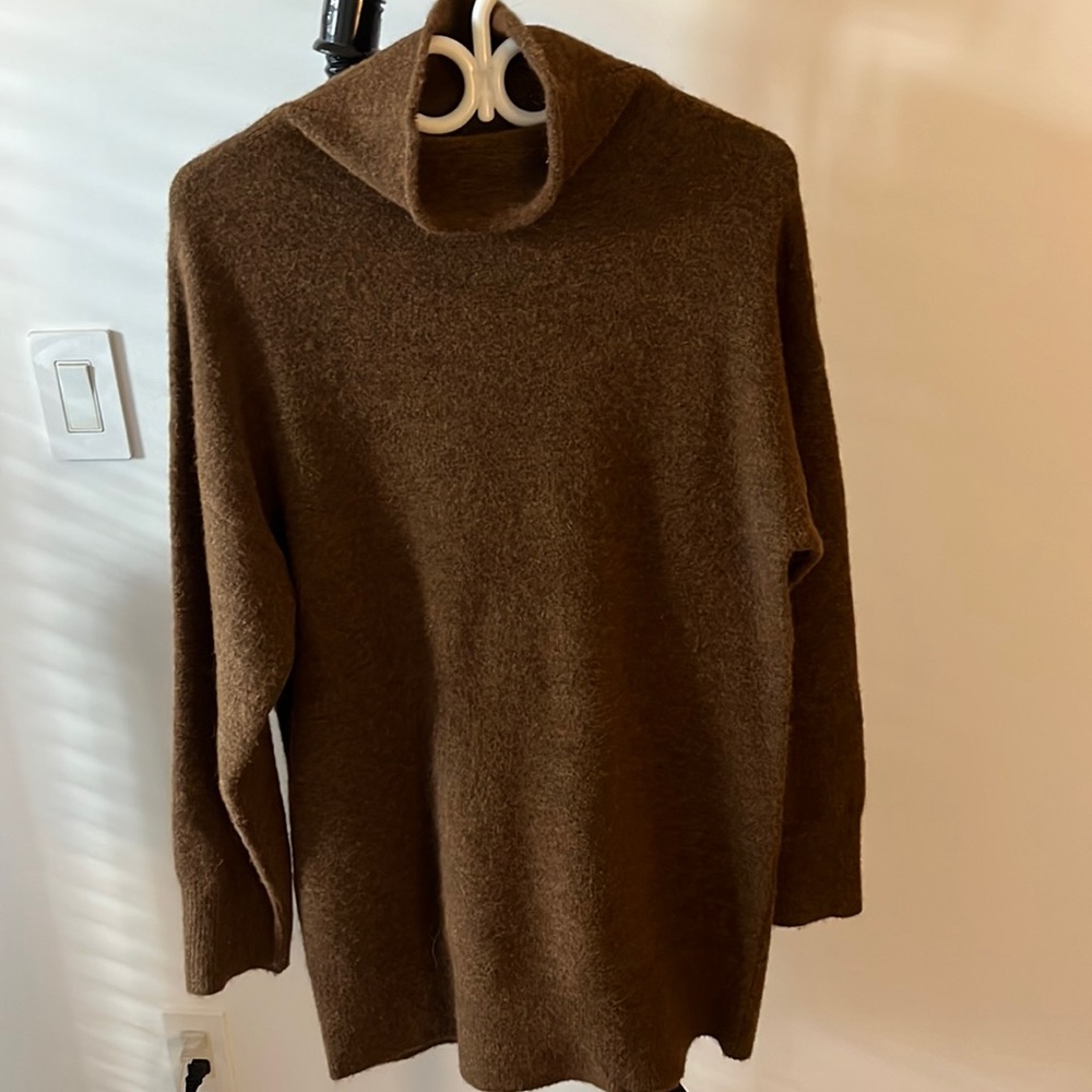 Aritzia sweater dress/tunic